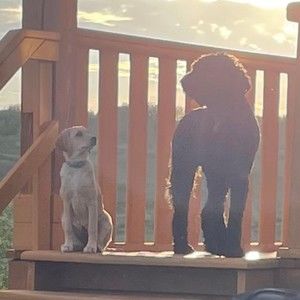 Meet your Posher, Laurie